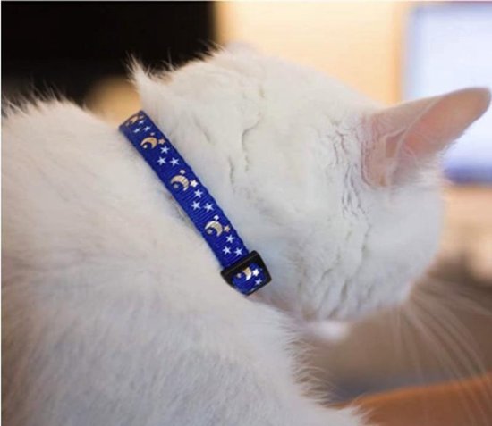 Ace Pets - Collier pour chat avec cloche - Réfléchissant - Fermoir de  sécurité -... | bol.com
