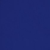 Donkerblauwe Servetten 2 laags 25cm 20st