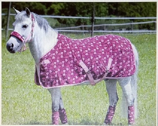 Fleece deken - pony - 85 cm - hartjes | bol.com