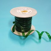 Eco Lint 100% Biodegradable Groen 6mm x 100 Mtr. met ijzeren draad - 1 rol