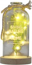 Peha Stolp Giving Nature A Home Led 13 X 25 Cm Glas Naturel