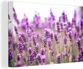 Toile de champ de lavande ensoleillée 30x20 cm - petit - Tirage photo sur toile (Décoration murale salon / chambre)