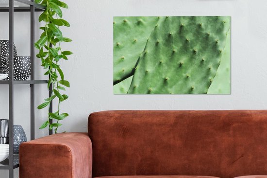 Tableau sur toile Cactus de Barbarie feuille vert menthe - 90x60 cm - Décoration murale