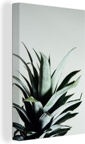Rustic Pineapple Leaves Canvas 80x120 cm - Tirage photo sur toile (Décoration murale salon / chambre)