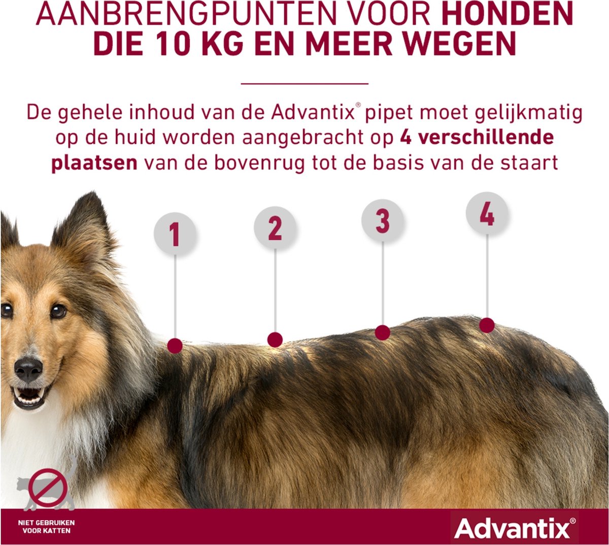 Advantix Spot On 250 Anti Vlooien en Teken Druppels Hond 10 - 25 kg 4  pipetten | bol.com
