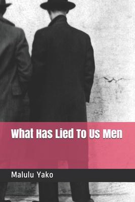 What Has Lied To Us Men - cover
