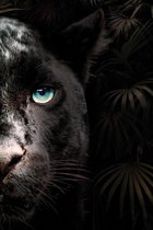 Exclusive - Dieren - Zwarte Panter - 80x120cm - Glasschilderij - Wanddecoratie & Schilderijen