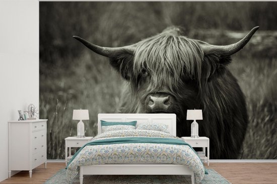 Papier peint - Papier peint photo Scottish Highlander - Portrait - Zwart - Wit - Largeur 360 cm x Hauteur 240 cm