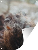 Décoration murale' extérieur Castor - Marron - Fourrure - 120x160 cm