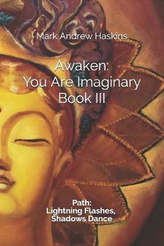 Awaken: You Are Imaginary- Awaken - cover