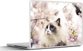 Sticker ordinateur portable - 12,3 pouces - Sakura - Chat - Couleurs