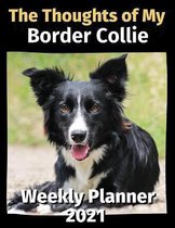 The Thoughts of My Border Collie