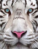 Buon 52 Degrees Compleanno