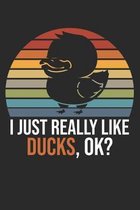 I Just Really Like Ducks, OK?