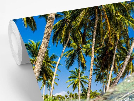 Behang - Fotobehang Strand - Vissen - Kleuren - Breedte 420 cm x hoogte 280 cm