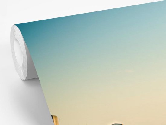 Papier peint - Papiers Papier peint photo Clôture - Chemin - Mer - Largeur 330 cm x Hauteur 220 cm