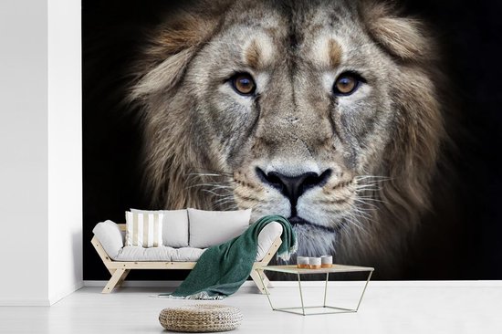 Papier peint - Papier peint photo Lion - Portrait - Sauvage - Largeur 420 cm x hauteur 280 cm