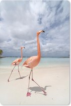 Muismat Flamingo  - Twee flamingo's op een eiland in Aruba muismat rubber - 18x27 cm - Muismat met foto