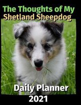 The Thoughts of My Shetland Sheepdog