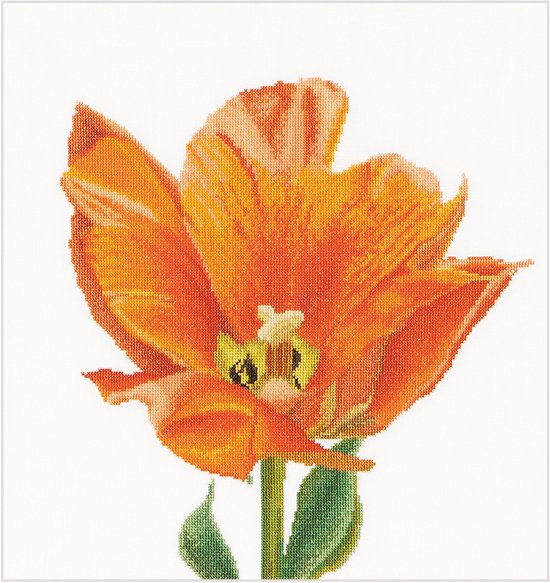 Thea Gouverneur - Borduurpakket met telpatroon - 523 - Voorgesorteerde DMC Garens - Oranje Triumph Tulp - Linnen - 34 cm x 36 cm - DIY Kit