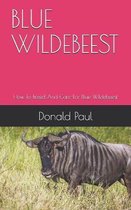 Blue Wildebeest