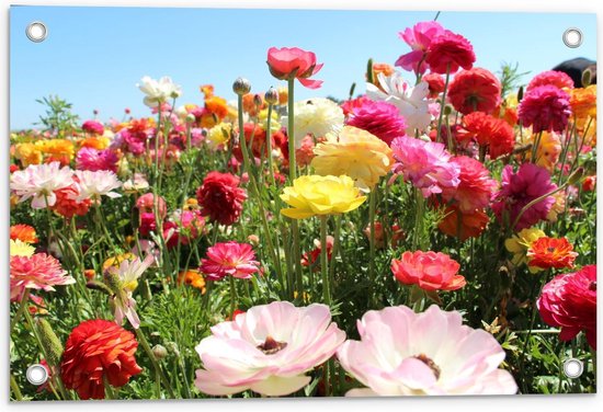 Tuinposter – Verschillende Bloemen in het Veld - 60x40cm Foto op Tuinposter  (wanddecoratie voor buiten en binnen)
