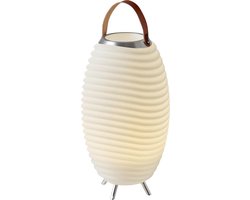 Kooduu Synergy 50S - Bluetooth Speaker - Wijnkoeler - LED lamp - met ingebouwde accu. 100% draadloos, muziek streamen
