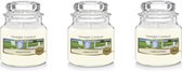 Yankee Candle Small Jar Geurkaars 3-pack - Clean Cotton