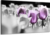 Peinture sur toile Tulipes | Violet, gris, blanc | 140x90cm 1 Liège