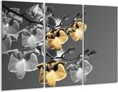 GroepArt - Schilderij -  Orchidee - Zwart, Oranje, Grijs - 120x80cm 3Luik - 6000+ Schilderijen 0p Canvas Art Collectie