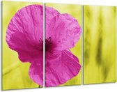 GroepArt - Schilderij -  Bloem - Roze, Groen, Wit - 120x80cm 3Luik - 6000+ Schilderijen 0p Canvas Art Collectie