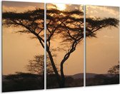 Arbre de peinture sur toile | Marron, jaune, noir | 120x80cm 3 Liège