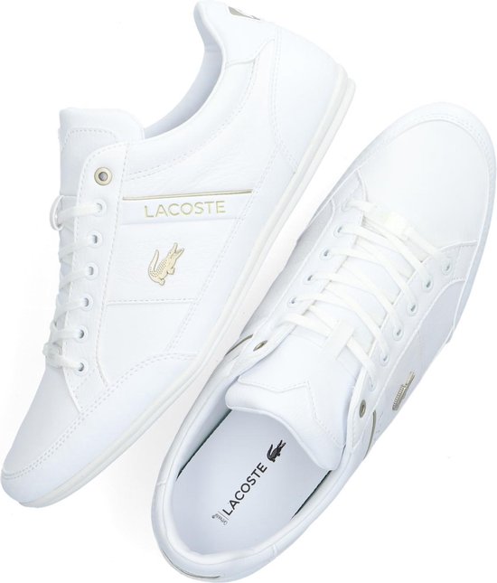 lacoste chaymon 47