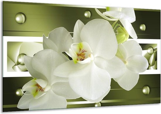 Canvas schilderij Orchidee | Groen, Wit | | F004691