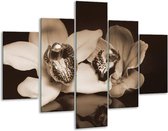 Glasschilderij -  Orchidee - Sepia, Bruin - 100x70cm 5Luik - Geen Acrylglas Schilderij - GroepArt 6000+ Glasschilderijen Collectie - Wanddecoratie- Foto Op Glas