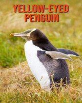 Yellow-Eyed Penguin