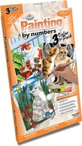 PBNSET45 PBN - Schilderen op nummer - Junior Small Set - 3pcs SMALL CATS SET