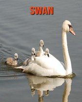 Swan