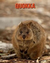 Quokka