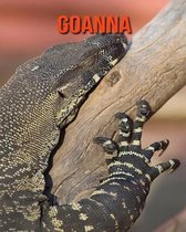 Goanna