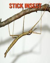 Stick Insect