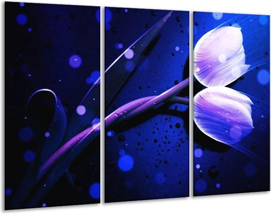 Glasschilderij Tulp - Blauw, Paars, Wit - 120x80cm 3Luik - Foto Op Glas - Geen Acrylglas Schilderij - GroepArt 6000+ Glas Art Collectie - Maatwerk Mogelijk