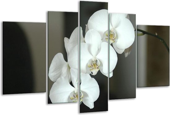 Glasschilderij Orchidee - Wit, Zwart, Grijs - 170x100cm 5Luik - Foto Op Glas - Geen Acrylglas Schilderij - 6000+ Glasschilderijen Collectie - Wanddecoratie