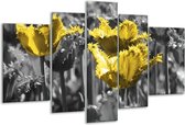 Glasschilderij Tulpen - Geel, Zwart - 170x100cm 5Luik - Foto Op Glas - Geen Acrylglas Schilderij - 6000+ Glasschilderijen Collectie - Wanddecoratie
