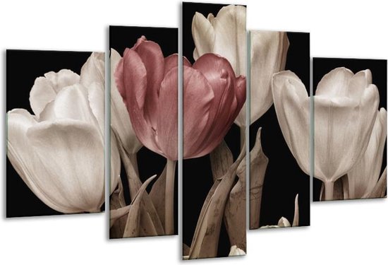 Glasschilderij Tulpen - Bruin, Wit, Zwart - 170x100cm 5Luik - Foto Op Glas - Geen Acrylglas Schilderij - 6000+ Glasschilderijen Collectie - Wanddecoratie