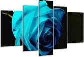 Glasschilderij Roos - Blauw, Zwart, Groen - 170x100cm 5Luik - Foto Op Glas - Geen Acrylglas Schilderij - 6000+ Glasschilderijen Collectie - Wanddecoratie