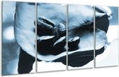 GroepArt - Glasschilderij - Koffiebonen, Keuken - Blauw, Wit - 160x80cm 4Luik - Foto Op Glas - Geen Acrylglas Schilderij - 6000+ Glasschilderijen Collectie - Wanddecoratie