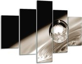 Glasschilderij -  Macro - Sepia, Zwart - 100x70cm 5Luik - Geen Acrylglas Schilderij - GroepArt 6000+ Glasschilderijen Collectie - Wanddecoratie- Foto Op Glas