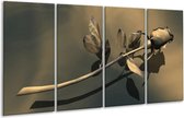 GroepArt - Glasschilderij - Roos - Grijs, Bruin - 160x80cm 4Luik - Foto Op Glas - Geen Acrylglas Schilderij - 6000+ Glasschilderijen Collectie - Wanddecoratie