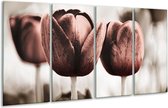 GroepArt - Glasschilderij - Tulpen - Bruin, Wit - 160x80cm 4Luik - Foto Op Glas - Geen Acrylglas Schilderij - 6000+ Glasschilderijen Collectie - Wanddecoratie